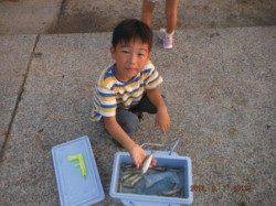 【夕涼みしながら、サビキ釣り♪】南芦屋浜