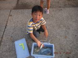 【夕涼みしながら、サビキ釣り♪】南芦屋浜