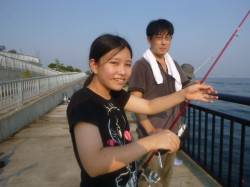 神戸空港に良型サヨリの群