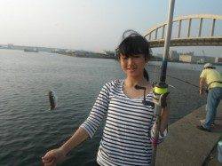 連日アジが好調です♪泉大津RT12日・朝