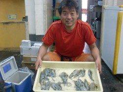 【芦屋店より発信】神戸空港のイカ情報