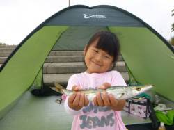 神戸空港　大きなカマスなど