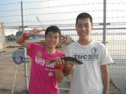 小アジは明け方に爆釣してます♪泉大津RT