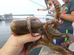 北公園、小野浜ＲＴ