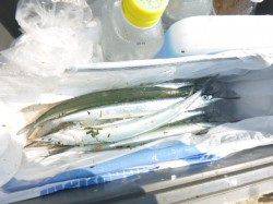 【アジ絶好調】アジュール舞子ＲＴ