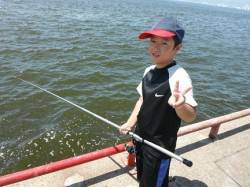 アジにママカリ！お昼の鳴尾海つり広場RT