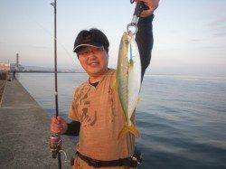 本日【19日】も岸和田一文字ツバス回遊中♪