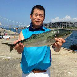 タルイチでメジロ！！