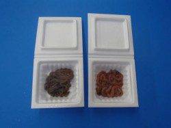 最新釣果情報涼しい夜釣り～ウキ釣り編～