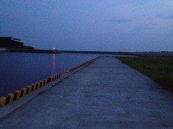 さぁ、和歌山でレッツ【タコ釣り】!