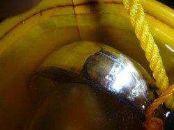 夜の兵突タチウオ確認！