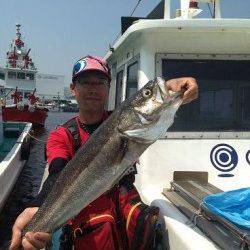 神戸沖堤防シーバス　急上昇↑↑