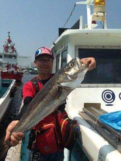 神戸沖堤防シーバス　急上昇↑↑