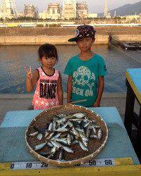 マリーナ釣り公園 夏休みサビキでアジ好調！