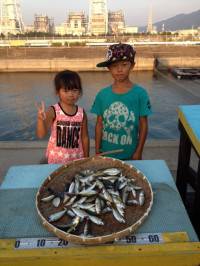 マリーナ釣り公園 夏休みサビキでアジ好調！…