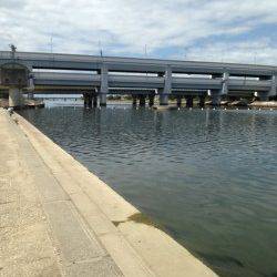 武庫川河口　ちょい投げでハゼの引き楽しめる