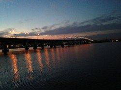 南甲子園浜にハネを狙いにいきました！