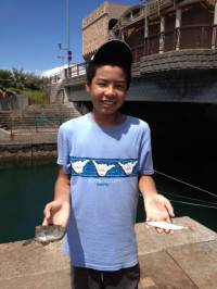 マリーナシティでサビキ、胴付き　晩ご飯のお…