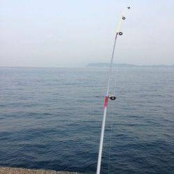 加太漁港でアジ・キスなどの釣果