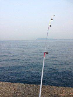 加太漁港でアジ・キスなどの釣果