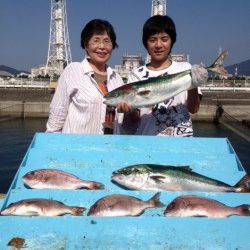 マリーナシティ海洋釣り堀　メジロ＆マダイ釣果