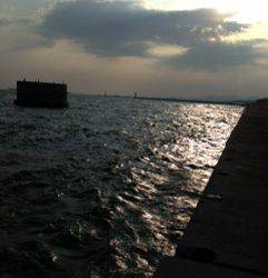 飾磨～広畑　夕方のサビキ釣りでアジ150尾　暇なく遊べます