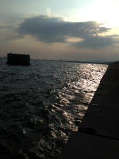 飾磨～広畑　夕方のサビキ釣りでアジ150尾　暇なく遊べます