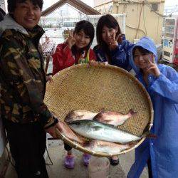マリーナシティ海洋釣り堀　雨でもメジロ＆マダイの釣果