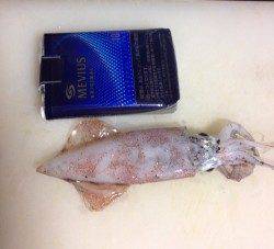 新浜漁港　ナイトエギングでケンサキ狙い　2投目でアタリ