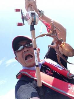 岸和田でオクトパッシング釣果