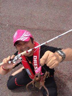 神戸７防エリアでオクトパッシング釣果