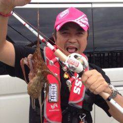 神戸７防エリアでオクトパッシング釣果