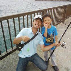 アジュール舞子　南蛮漬けのアジを狙いに釣行でアジ70匹　他はリリース