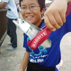 アジュール舞子　南蛮漬けのアジを狙いに釣行でアジ70匹　他はリリース