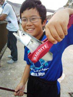 アジュール舞子　南蛮漬けのアジを狙いに釣行でアジ70匹　他はリリース