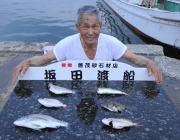 黒島の磯・湾内の筏　チヌの釣果