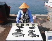 カンドリで底物釣り★イシダイ＆イシガキダイ…