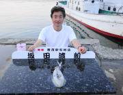 【３日】黒島の磯のアオリイカ