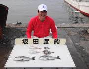 衣奈で筏釣り、チヌ＆大きなマルアジ