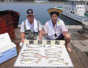 黒島の筏でスマガツオにマルアジ