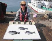 黒島の磯でグレ～33㎝　3匹