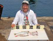 黒島の筏でマダイ・アジ