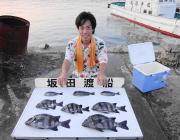 黒島の磯　イシダイが好調でした♪