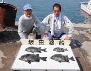 黒島の磯でイシダイ・イシガキダイ