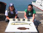 シイラ82㎝&ヒラメ37㎝　黒島の…