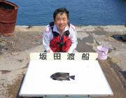 黒島の磯でイシダイ・イシガキダイ