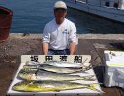 黒島の磯　シイラ～95㎝5匹！