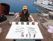 黒島の磯　アオリイカ新子とカマスをゲット～…