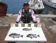 黒島の磯	ウニでイシダイ・カンダイ