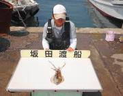 黒島の磯　ヤエンでアオリイカ